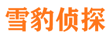 张家川外遇调查取证